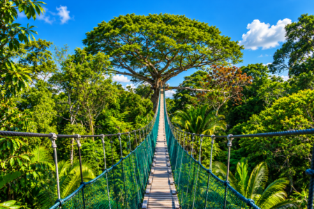  Reserva Nacional de Tambopata 2 Días / 1 Noche