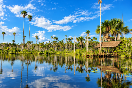 Reserva Nacional de Tambopata 3 Días / 2 Noches