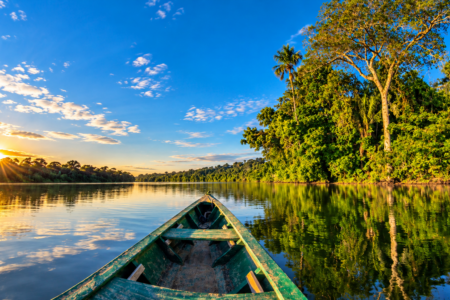 Reserva Nacional de Tambopata 5 Días / 4 Noches